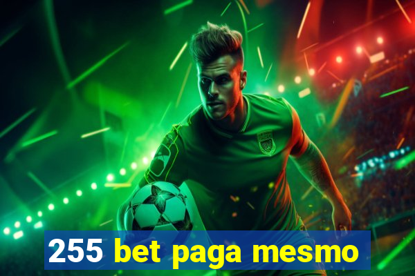 255 bet paga mesmo